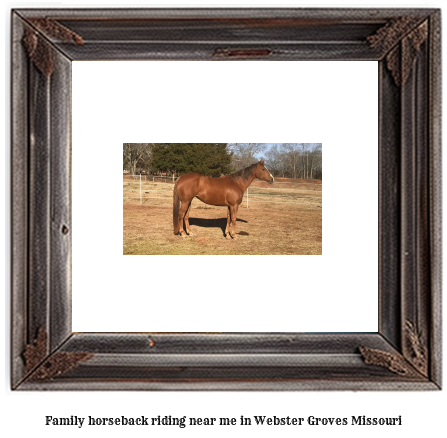 family horseback riding near me in Webster Groves, Missouri